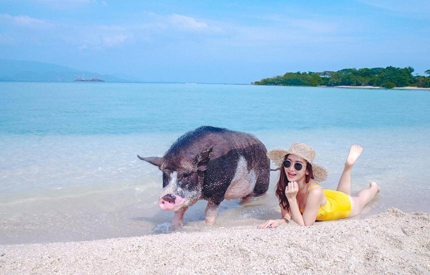 Samui Platinum Hotel شاطئ تشاوينغ المظهر الخارجي الصورة