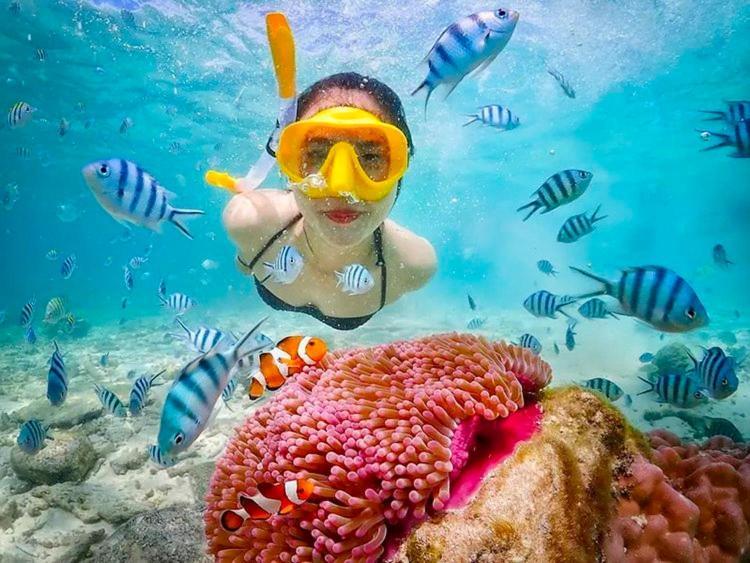 Samui Platinum Hotel شاطئ تشاوينغ الغرفة الصورة